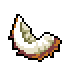 Coconotnotto Icon