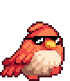 Cool Bird Monster Animation