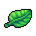 Grass Leaf Icon