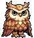 Go Go Secret Owl Icon